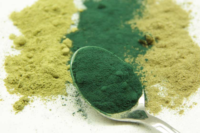 Spirulina-Pulver, Moringa-Pulver im Hintergrund