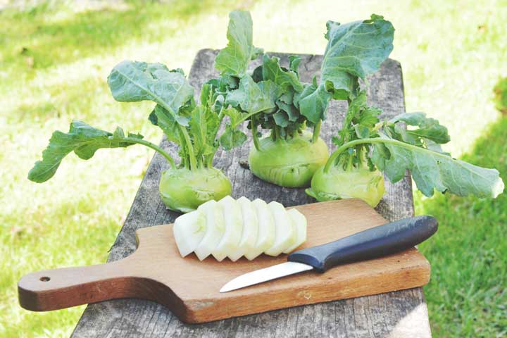 Kohlrabi ab Juni aus dem eigenen Garten