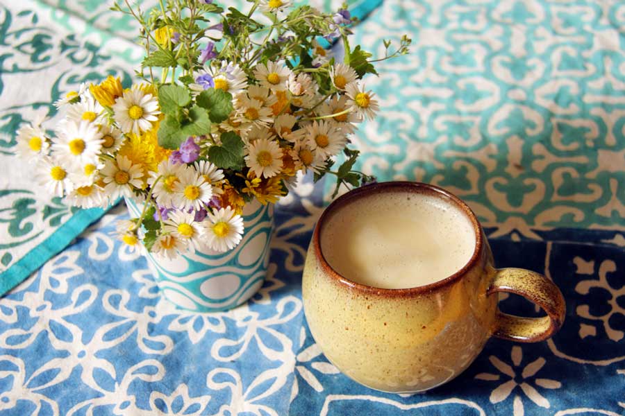 Hollerblüten und Gänseblümchen ein Frühlingsduo