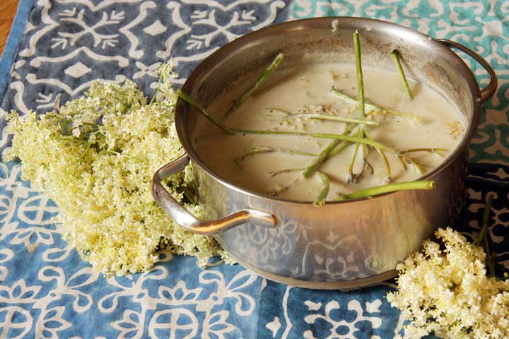 Hollerdolden kopfüber in Milch geben