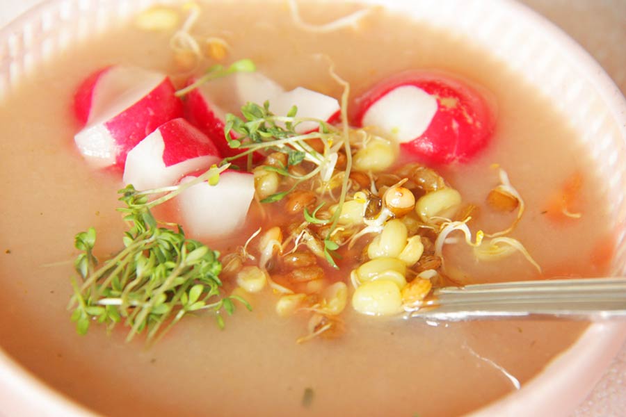 Radieschensuppe mit Sprossen, Kresse und Radieschen